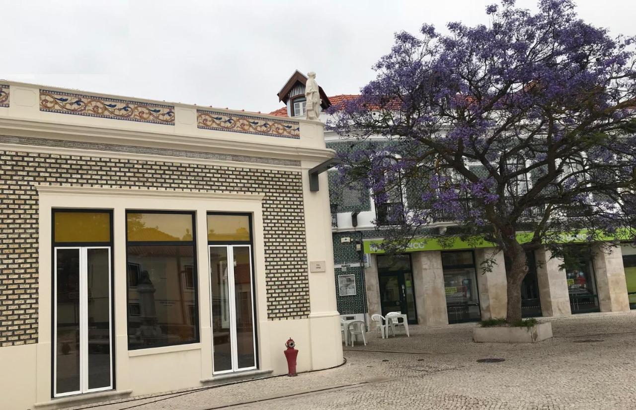 Wood Steel & Glass مارينها غراندي المظهر الخارجي الصورة